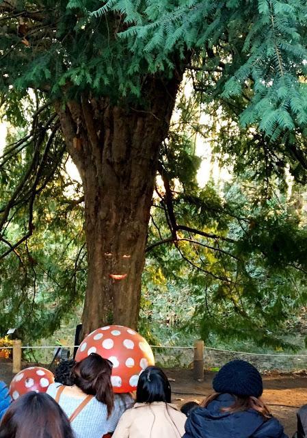 Navidad en el Jardín Botánico de Gijón por Eva Rogado