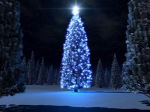 arbol_de_navidad-1024x768-13243