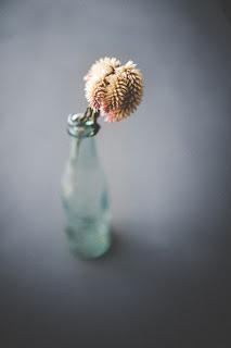 Flor natural en una botella de cristal