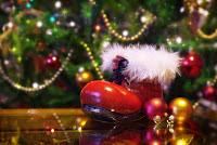 El origen de Santa Claus y el árbol de navidad