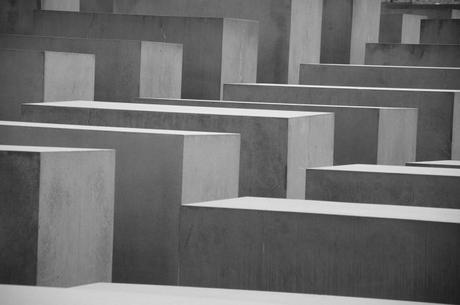 Se identificó una proteína que podría mejorar la memoria