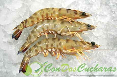 Cocción de mariscos Cocción de mariscos