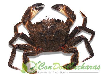 Cocción de mariscos Cocción de mariscos