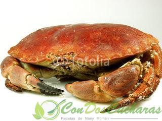 Cocción de mariscos Cocción de mariscos