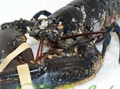 Cocción mariscos