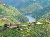 presentamos: bodega Ribeira Sacra
