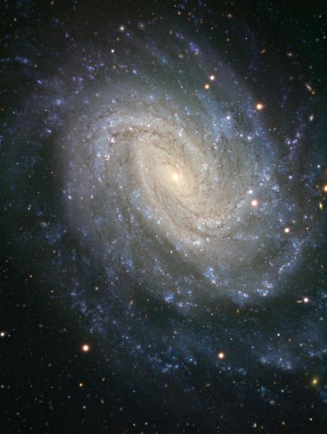 Un remolino azul en El Río