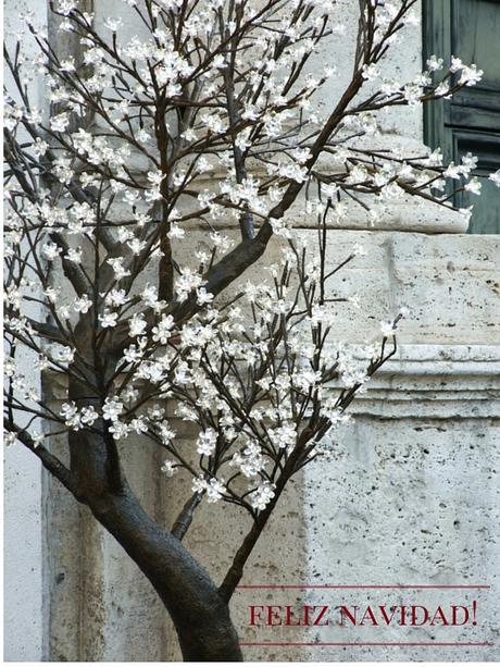 feliz navidad a todos!
