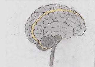 as emociones de la musica-supra-conciencia.blogspot.com