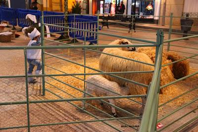 Portal Viviente 2015 en Almadén