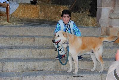 Portal Viviente 2015 en Almadén