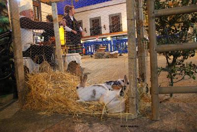 Portal Viviente 2015 en Almadén