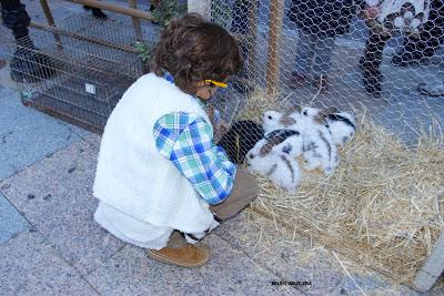 Portal Viviente 2015 en Almadén