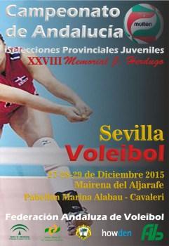 Campeonato de Andalucía de Voleibol Juvenil con presencia quinteña