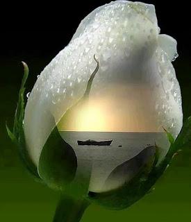 ATRÁS QUEDAN LAS FIESTAS...