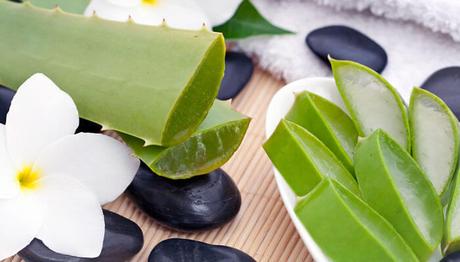 10 eficaces remedios caseros para la urticaria