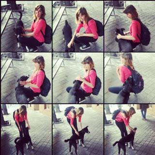 2015 en 12 fotografías