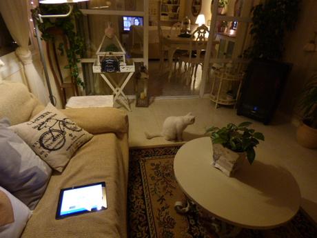 Un poco de decoración navideña