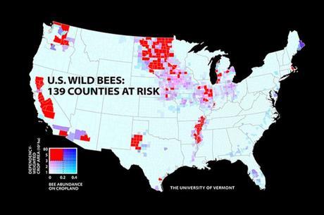 Desaparición de las abejas en EEUU - Disappearance of bees in USA. Desaparición de las abejas en EEUU - Disappearance of bees in USA.