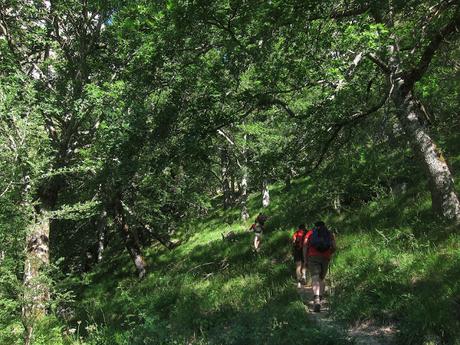 POR LAS CANALES DE TREA Y CULIEMBRO