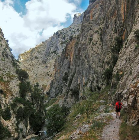 POR LAS CANALES DE TREA Y CULIEMBRO