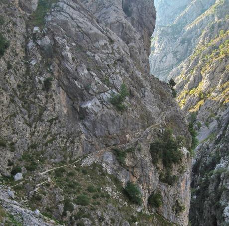 POR LAS CANALES DE TREA Y CULIEMBRO