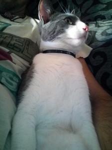 Foto realizada con Bluboo Xtouch