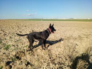 Foto realizada con Bluboo Xtouch