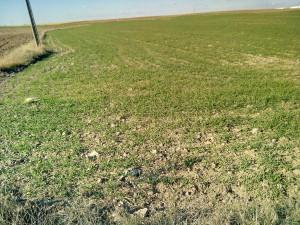 Foto realizada con Bluboo Xtouch