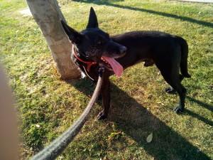 Foto realizada con Bluboo Xtouch