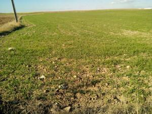 Foto realizada con Bluboo Xtouch