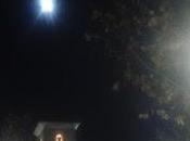 Luna fría final 2015