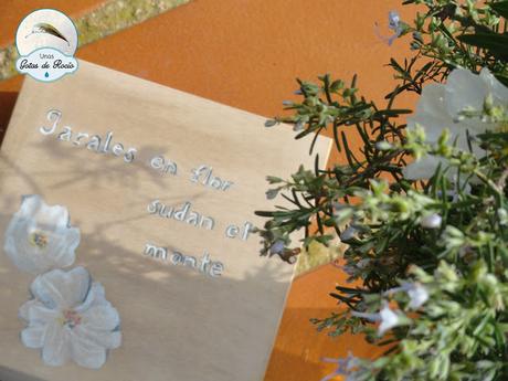 El tarro de las esencias.