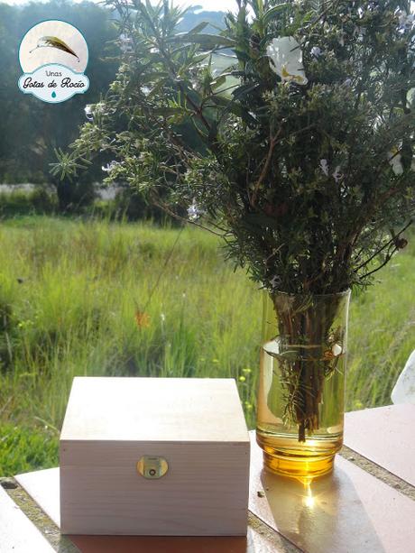 El tarro de las esencias.