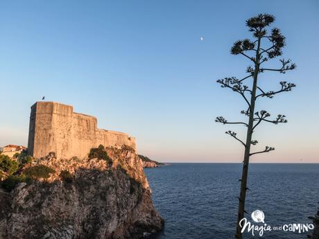 Dubrovnik y mi experiencia con un viajero curioso IMG_0026