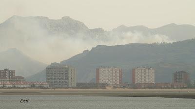 LA MECHA TENÍA QUE ARDER...