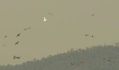 LA MECHA TENÍA QUE ARDER...