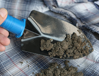 Cómo Crear un Disfraz de Zombi