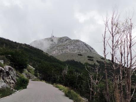 Ruta de un día desde Kotor visitando Budva, Sveti Stefan, Cetinje y PN Lovcen