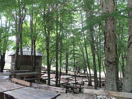 Ruta de un día desde Kotor visitando Budva, Sveti Stefan, Cetinje y PN Lovcen