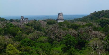 Star Wars y el Templo IV en Tikal. Guatemala