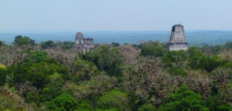 Star Wars y el Templo IV en Tikal. Guatemala