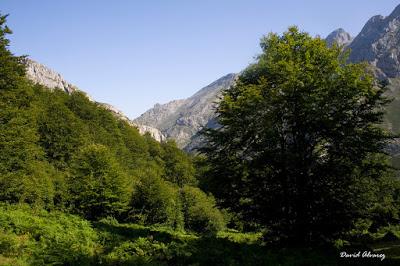 Monte limpio, monte sucio