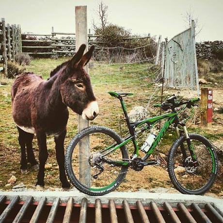 Top 5 Fotografías Instagram | Diciembre 2015