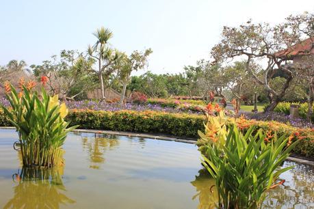 My honeymoon in Bali Image and video hosting by TinyPic