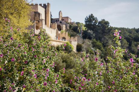 Recuerdos de primavera