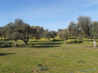 Ruta 12 Apóstoles 2015