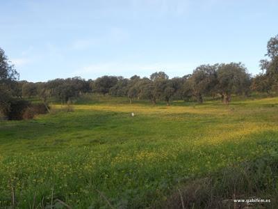 Ruta 12 Apóstoles 2015