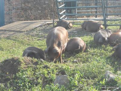 Ruta 12 Apóstoles 2015