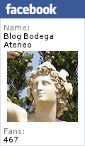 El Blog en resumen , 2015